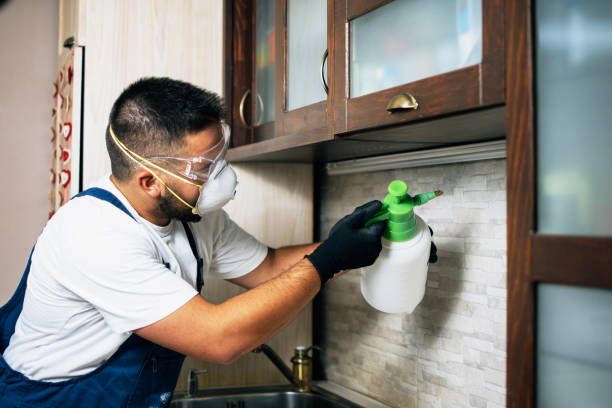 Best Wasp Removal Services  in Spiro, OK